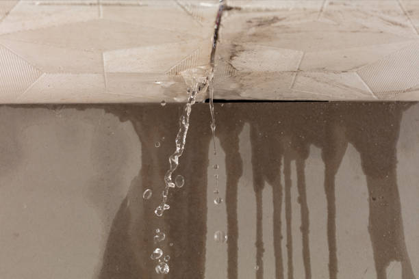 Professional Structural Drying technician working in Abbott, TX